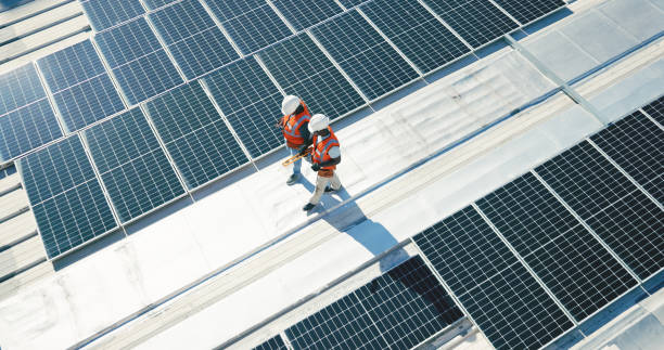 Best Roof Moss and Algae Removal  in South Hill, WA